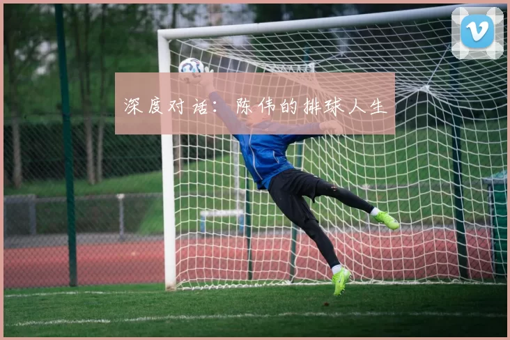 深度对话：陈伟的排球人生