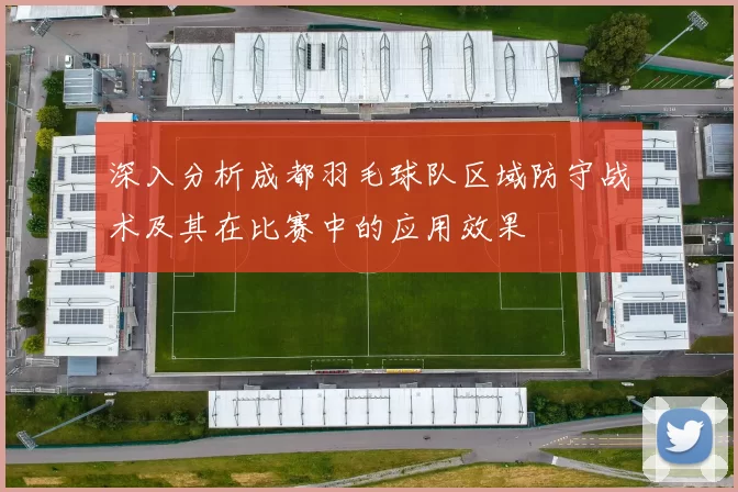 深入分析成都羽毛球队区域防守战术及其在比赛中的应用效果