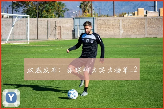 权威发布：排球耐力实力榜单_2