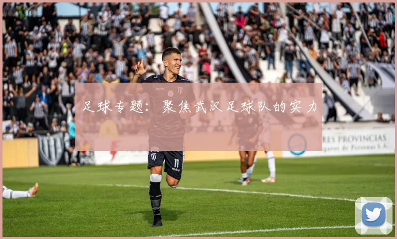足球专题：聚焦武汉足球队的实力
