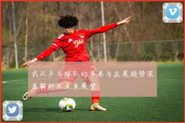 武汉乒乓球队的节奏与发展趋势深度解析及未来展望