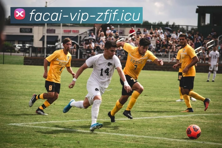 九游体育APP 高清赛事图